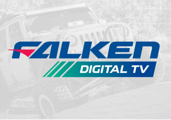Logo Falken